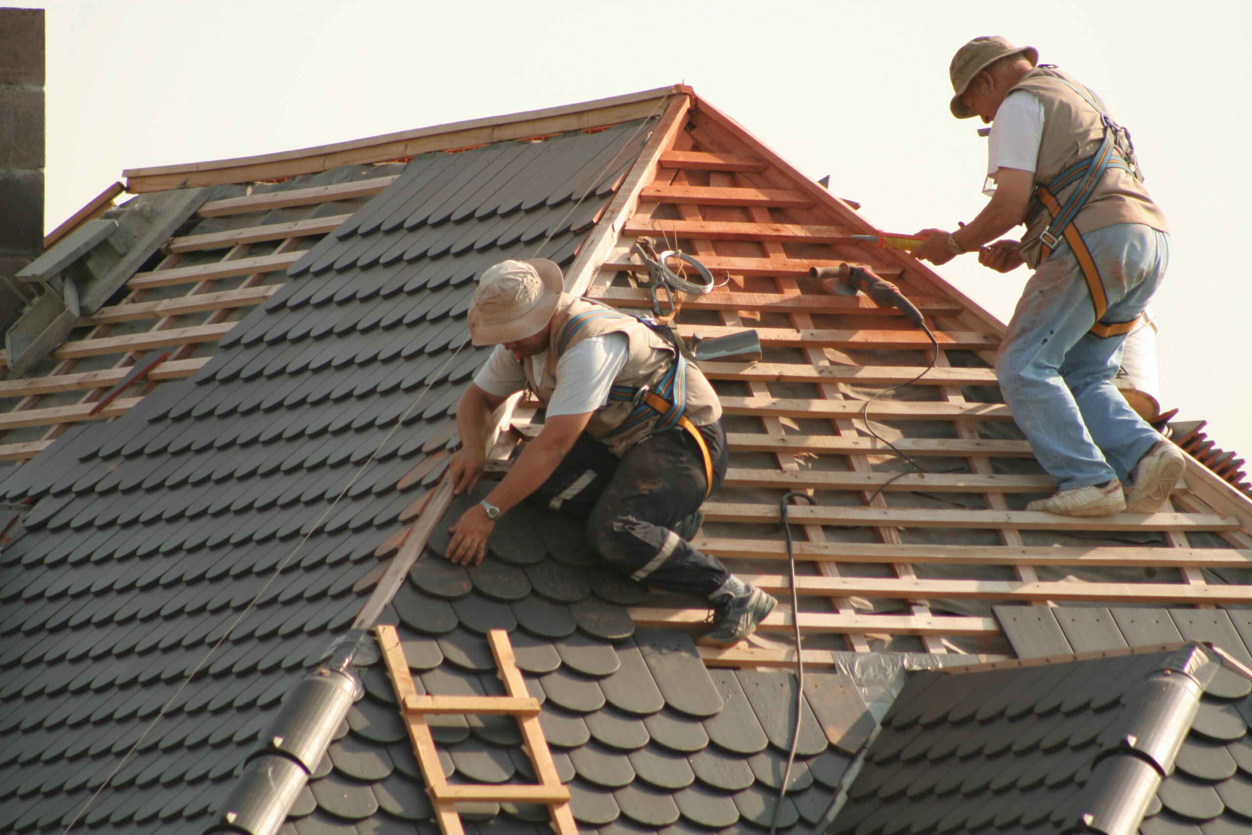 Roof Maintenance Tips